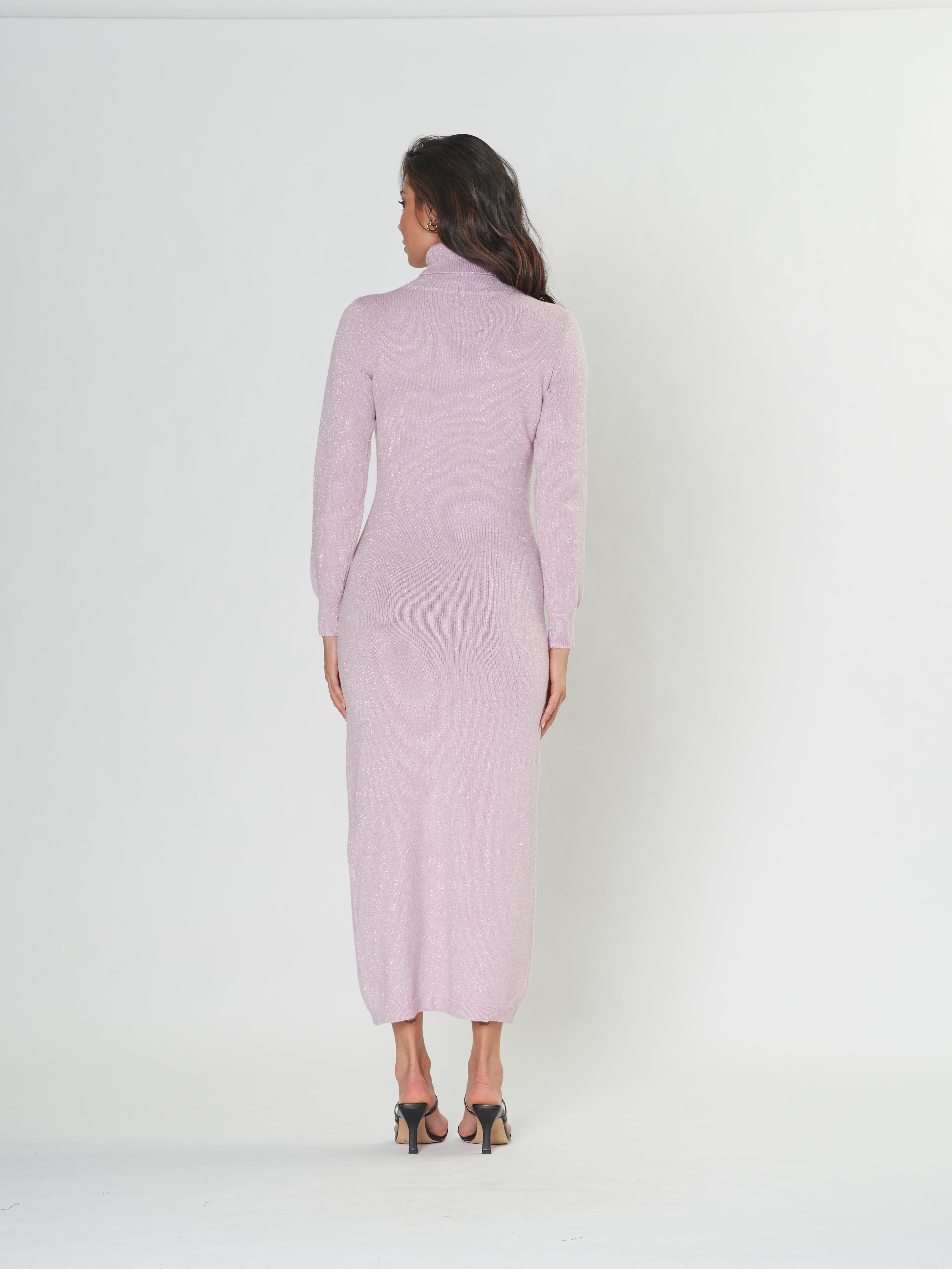 RAISE UP TURTLE NECK DRESS
